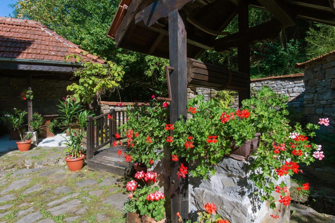 Family Hotel Bile Beli Osum Exterior photo